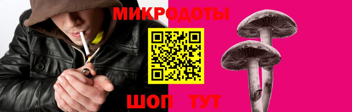 Псилоцибиновые грибы ЛСД Ноябрьск